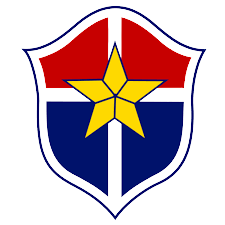 博塔弗戈RJ青年隊(duì)